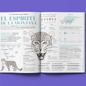 Infografía Leopardo de las nieves. Design, Infographics & Information Design project by Tamara Jiménez Miguel - 06.13.2022