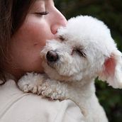 Meu projeto do curso: Fotografia lifestyle de cachorros. Un projet de Photographie, Photographie de portrait, Photographie pour Instagram, Photographie documentaire, Photographie lifest , et le de Pamella Paula Souza - 11.06.2022