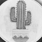 CACTUS Ein Projekt aus dem Bereich Stickerei von Alejandra - 09.01.2022