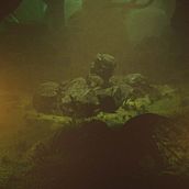 Mi proyecto del curso: Ilustración fantástica 3D con Blender. Un progetto di 3D, Illustrazione digitale e Progettazione 3D di Carlos Ramos - 12.06.2022