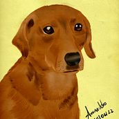Meu projeto do curso: Ilustração naturalista de animais com Procreate. Traditional illustration, Digital Illustration, Realistic Drawing, and Naturalistic Illustration project by amarildo_clemente - 06.15.2022