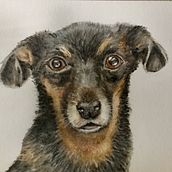 My project for course: Expressive Animal Portraits in Watercolor  "Friend in Deed". Projekt z dziedziny Malowanie akwarelą użytkownika mamae - 16.06.2022