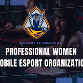 Social media strategy for esports organization. Marketing, Social Media, Digital Marketing, Content Marketing, Facebook Marketing, Communication, Instagram Marketing, and Growth Marketing project by Andrés Escoto - 06.16.2022