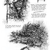 About gardens. Un progetto di Design, Illustrazione tradizionale, Design editoriale, Belle arti, Pittura, Fumetto, Disegno, Disegno a matita, Stor, telling, Stor, board, Disegno realistico, Illustrazione con inchiostro e Illustrazione naturalistica di Paola Franco - 18.06.2022