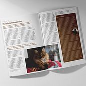 Meu projeto do curso: Fundamentos da tipografia de A a Z. Un progetto di Direzione artistica, Design editoriale, Graphic design, Tipografia e Web design di Martha Oliveira - 18.06.2022