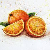 Splashing Oranges. Un proyecto de Ilustración tradicional, Pintura, Bocetado, Pintura a la acuarela e Ilustración naturalista				 de miro.pobox - 19.06.2022