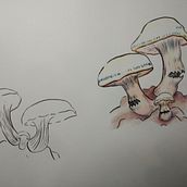 Mi proyecto del curso: Sketching diario como inspiración creativa. Traditional illustration, Sketching, Creativit, Drawing, and Sketchbook project by Fernanda Alvarez - 06.19.2022