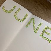 Mi proyecto del curso: Creación de dibujos florales para tu bullet journal . Lettering, Drawing, Botanical Illustration, H, Lettering, Management, and Productivit project by Gabilú Fonseca - 06.20.2022