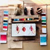 Mi proyecto del curso: Elaboración de acuarelas artesanales. Un projet de Artisanat, Beaux Arts, Peinture, Aquarelle, DIY , et Théorie des couleurs de ESMERALDA AVILA BOYAS - 22.06.2022