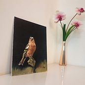 My project for course: Classical Oil Painting for Naturalist Bird Portraiture Ein Projekt aus dem Bereich Bildende Künste, Malerei, Ölmalerei und Naturalistische Illustration von ashwinwankhede - 20.06.2022
