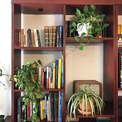 Mi proyecto del curso: Estilismo y decoración del hogar con plantas. Un projet de Design d'interaction, Décoration, Décoration d'intérieur, DIY, Art floral et végétal , et Design d'espace de Aura Martinez - 22.06.2022