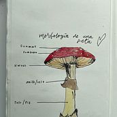 Mi proyecto del curso: Cuaderno botánico en acuarela. Traditional illustration, Watercolor Painting, Botanical Illustration, and Sketchbook project by Paulina Posada Vega - 06.21.2022