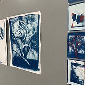 Cyanotype. Un proyecto de Fotografía y Diseño gráfico de Lisa - 22.06.2022
