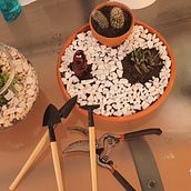 Mi proyecto del curso: Arte vegetal: crea tu propio terrario abierto. Interior Design, L, scape Architecture, Decoration, DIY, Floral, and Plant Design project by Kassandra Fernandez - 06.22.2022