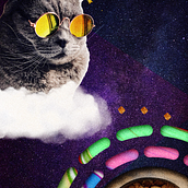 Cat food planet. Motion Graphics, and 2D Animation project by Miki Tejima - 06.21.2022