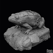 Frog. Projekt z dziedziny Trad, c, jna ilustracja i  Modelowanie 3D użytkownika Cristian Alfonso - 24.06.2022
