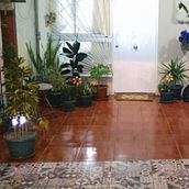 Mi proyecto del curso: Diseño de interiores con plantas desde cero. Interior Design, L, scape Architecture, Decoration, Interior Decoration, DIY, Floral, Plant Design, and Spatial Design project by Nilson Salazar Pardo - 06.15.2022