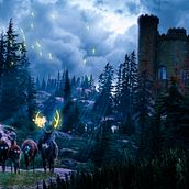 Forest . % ASHISH MOHANTY tarafından hazırlanan Grafik Tasarım projesi - 05.21.2022