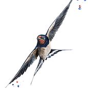 My project for course: Artistic Watercolor Techniques for Illustrating Birds. Traditional illustration, Watercolor Painting, Realistic Drawing, and Naturalistic Illustration project by István Pospíšil - 06.25.2022