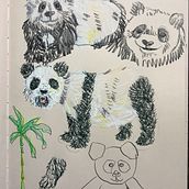 Mein Kursprojekt: Dynamische Tierillustration für Kindergeschichten. Un proyecto de Diseño de personajes, Dibujo a lápiz, Dibujo e Ilustración infantil de michaela.braeuninger - 26.06.2022