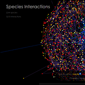 Biotic interactions. Un proyecto de Diseño Web y Diseño de la información de Anneke ter Schure - 29.01.2016