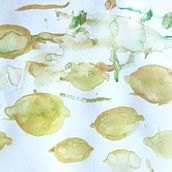 Limones. Un progetto di Pittura ad acquerello di julio_mmolero - 26.06.2022