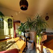 Mon projet du cours : Aménagement et décoration d'intérieur avec des plantes. Un progetto di Design interattivo, Interior Design, Interior Design, DIY, Design floreale e vegetale e Progettazione dello spazio di Sibel Loci - 27.06.2022