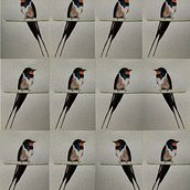 My project for course: Artistic Watercolor Techniques for Illustrating Birds. Un progetto di Illustrazione tradizionale, Pittura ad acquerello, Disegno realistico e Illustrazione naturalistica di Ivana - 16.05.2022