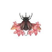 Mi proyecto del curso: Ilustración comercial con lápices de colores. Un progetto di Illustrazione tradizionale, Disegno a matita e Disegno con matite colorate di Katy Cano - 25.06.2022