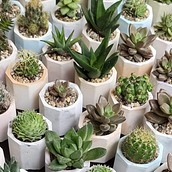 Mi proyecto del curso: Creación de muebles en concreto para principiantes. Arts, Crafts, Furniture Design, Making, Interior Design, Interior Decoration, and DIY project by Arelis Avendaño - 06.27.2022