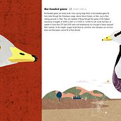 My project for course: Wildlife Illustration for Children's Books. Un progetto di Illustrazione vettoriale, Illustrazione digitale e Illustrazione infantile di Jiiva - 28.06.2022