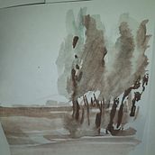 Mi proyecto del curso: Paisajes naturales en acuarela. Un proyecto de Pintura a la acuarela de Susana Barrera - 30.06.2022