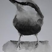 Watercolour birds. Drawing, and Watercolor Painting project by danielacosta1997 - 06.30.2022