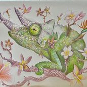 Mi proyecto del curso: Ilustración surrealista inspirada en la naturaleza. Un proyecto de Ilustración tradicional, Dibujo a lápiz, Dibujo, Dibujo artístico, Ilustración naturalista y Dibujo con lápices de colores de Rebecca Angelina Fernández - 01.07.2022