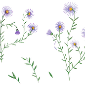 Mi proyecto del curso: Ilustración y diseño de patrones florales. Un proyecto de Ilustración tradicional, Pintura, Pattern Design, Dibujo e Ilustración botánica de Caroline Luechau - 01.07.2022