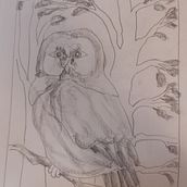 Il mio progetto del corso: Illustrazione con inchiostro e pennino: rappresenta la natura. Sketching, Drawing, Artistic Drawing, Sketchbook, Ink Illustration, and Naturalistic Illustration project by giuliapancot78 - 07.02.2022