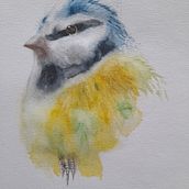 My project: Artistic Watercolor Techniques for Illustrating Birds. Un progetto di Illustrazione tradizionale, Pittura ad acquerello, Disegno realistico e Illustrazione naturalistica di Manis - 03.07.2022