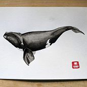 My project for course: Naturalist Illustration Techniques: Whales in Watercolor. Traditional illustration, Poster Design, Digital Illustration, and Manga project by astridcoxon - 07.03.2022