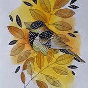 Birds from my sketchbook Ein Projekt aus dem Bereich Traditionelle Illustration und Zeichnung von Magdalena Nawrocka - 03.07.2022