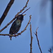 AVES  Ein Projekt aus dem Bereich Fotografie von Ingrid Arancibia - 05.07.2022