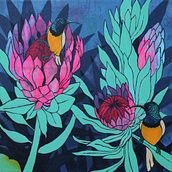 Protea bliss. Un proyecto de Ilustración tradicional de Heidi Spets - 17.11.2019