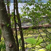A Day in Ketchikan, Alaska. Photograph, Outdoor Photograph, Instagram Photograph, Documentar, Photograph, and Photographic Composition project by kris.hill10 - 07.05.2022