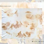 Mi proyecto del curso: Impresión botánica en textil y papel. Un progetto di Artigianato, Fashion design, DIY, Tintura tessile, Stampa tessile e Textile Design di Ana Morín Rodríguez - 06.08.2022