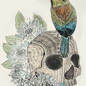 Mi proyecto del curso: Ilustración naturalista con bolígrafo. Traditional illustration, Drawing, Realistic Drawing, and Naturalistic Illustration project by stephanyperez011 - 06.29.2022