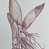 Oktopus. Traditional illustration, and Watercolor Painting project by sabine.hobbie - 07.08.2022
