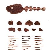 Mi proyecto del curso: Las leyes de la percepción visual: unidad, peso, equilibrio y movimiento Ein Projekt aus dem Bereich Architektur, Kunstleitung, Kreative Beratung, Verlagsdesign, Bildende Künste, Grafikdesign und Bühnendekoration von Laura Sañudo - 10.07.2022