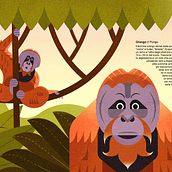 My project for course: Wildlife Illustration for Children's Books. Vector Illustration, Digital Illustration, and Children's Illustration project by Simone De Rosa - 07.12.2022