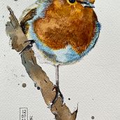 Mijn project van de cursus: Vogels illustreren met artistieke aquarel. Un progetto di Illustrazione tradizionale, Pittura ad acquerello, Disegno realistico e Illustrazione naturalistica di Ulrike Schluter - 12.07.2022