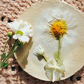 Quadro botânico em gesso. Un progetto di Artigianato di Patricia Pimenta - 13.07.2022