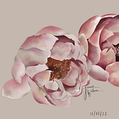 My project for course: Botanical Sketchbooking: A Meditative Approach. Un projet de Illustration traditionnelle, Esquisse , Dessin, Aquarelle, Illustration botanique , et Carnet de croquis de Janice Wilona - 12.07.2022